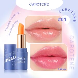 5 Pcs SACE LADY Tinted Lip Balm (Carotene)